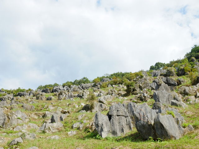 ͎ΖʂςɍLĂ܂B_iE}JXg