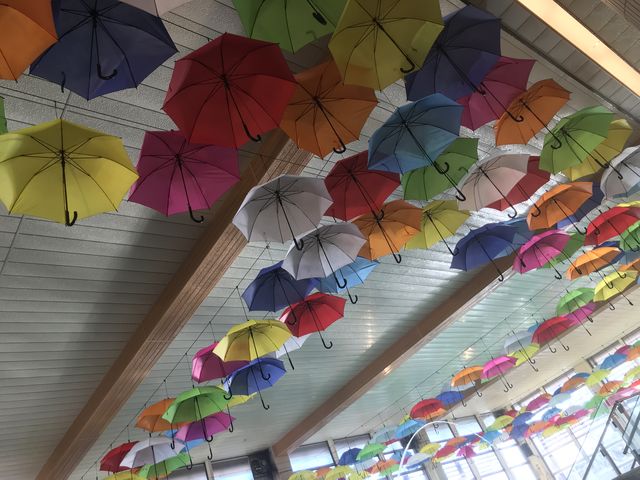 �����v�[���͎����ł��̎����ł��y���߂܂��B_�������ʐ�z�e���O����