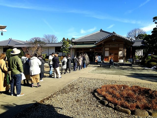 ��������̗�_������