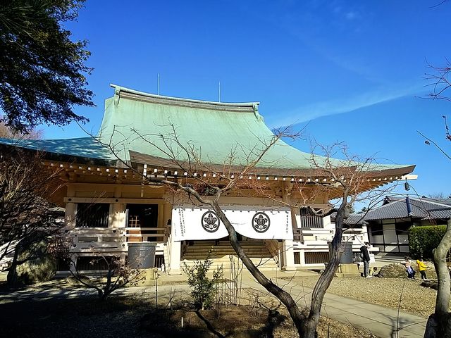 ��Ɩ@��(�{��)_������