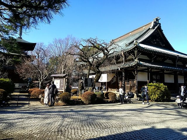 ���a�ŏ����x�߂̏��w_������