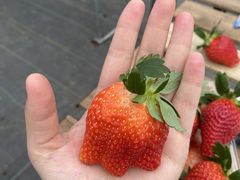 ؂؂񂳂̐^S_ւ̓eʐ^1