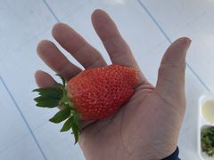 񂳂̃AOX^[XyVւ̓eʐ^1