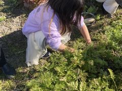 炿񂳂̕Ďs_ւ̓eʐ^2