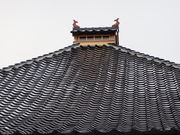 yosshy̖iʏ́EEҎj̓eʐ^3