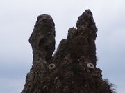 yosshy̙niggj̓eʐ^3