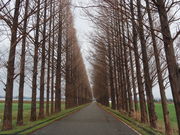 yosshỷ͖kñ^ZRCA؂̓eʐ^1