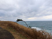 yosshy̋`ȍMB̓eʐ^1