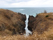 yosshy̋`ȍMB̓eʐ^2