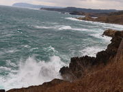 yosshỹZ̒fR̓eʐ^2