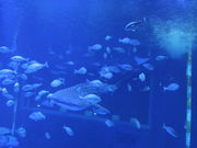 yosshŷ̂Ƃܐق̓eʐ^4