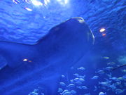 yosshŷ̂Ƃܐق̓eʐ^5