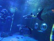 yosshŷ̂Ƃܐق̓eʐ^6