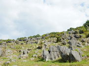 ͂񂳂̍iE}JXg̓eʐ^2