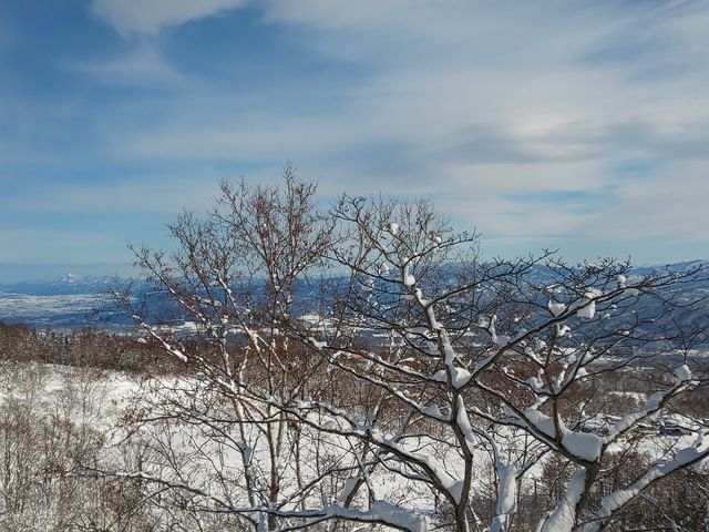 �ԑq����X�L�[��_�ԑq����X�L�[��