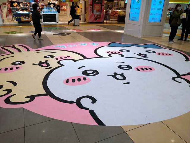 LN^[Xg[g@킢炵_LN^[Xg[g