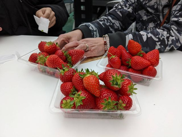 ��ނ��킩��悤�ɁA�\���V�[���L��܂����A_BERRYHOUSE