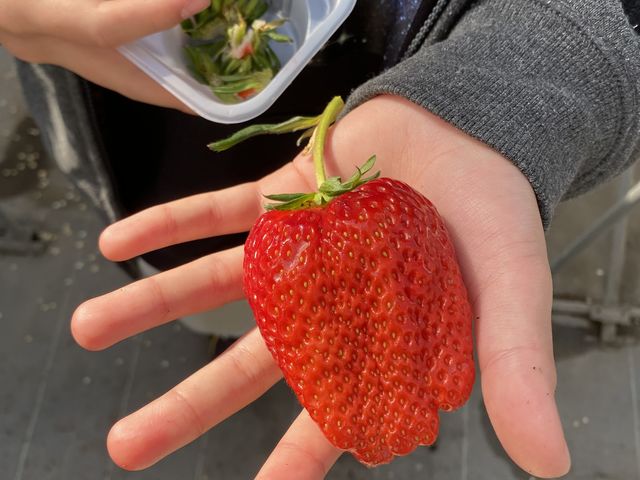 �݂��݂�����_�X�g���x���[�t�B�[���h