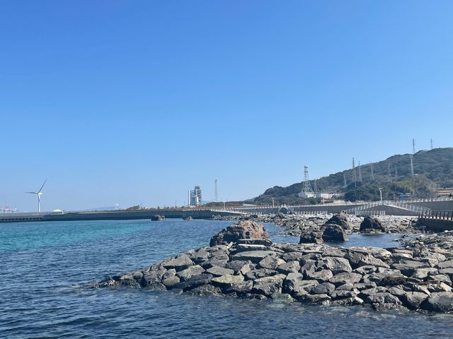 �C��_�V�͊�