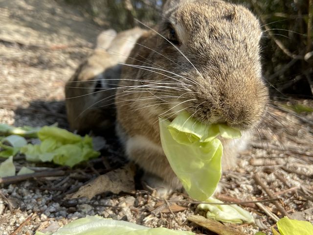 ETM_ON[YTۇUcaptain.cook