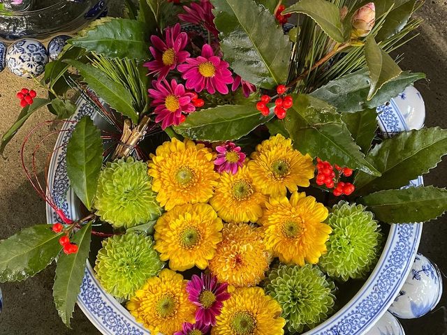 �萅�ɂ̉Ԏ萅�ł��B_�F�ԋ{