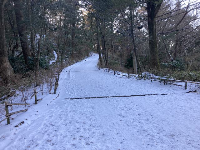 �ܑ����͂��̂Ƃ���_����R