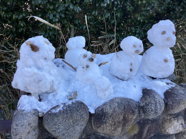 �N����������Ⴞ���_����R