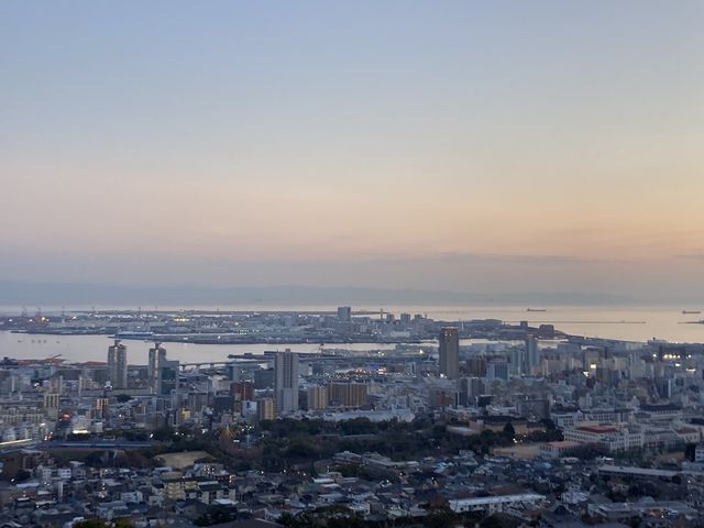 �[���̃|�[�g�A�C�����h_����R