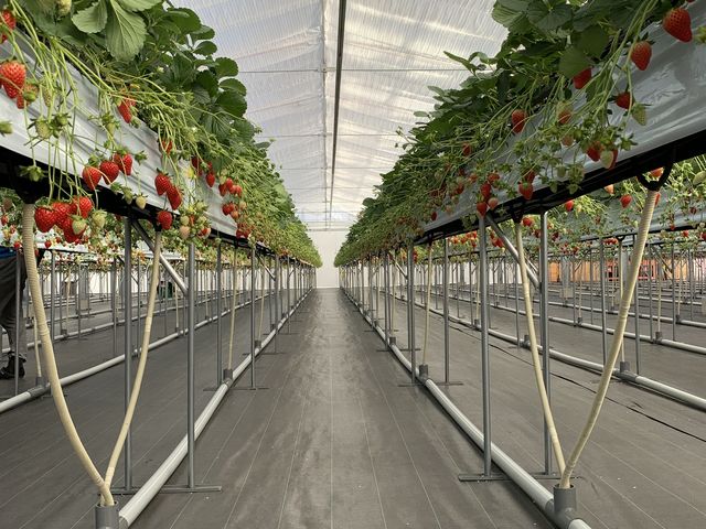 �_�T�j�[����t�@�[��