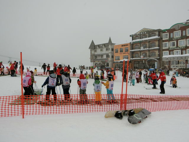 ���b�X���󂯂Ă���q�����\�܂������A��l��l���J�ɋ����Ă��������܂����B_�⌴