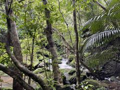 Gori̐\Jk[cA[̂тՂՂûՂvւ̓eʐ^1