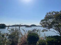北九州市立響灘緑地 グリーンパークの口コミ一覧 じゃらんnet