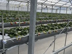 ݂̂̃C`Sucvւ̓eʐ^1