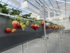 ݂̂̃C`Sucvւ̓eʐ^2