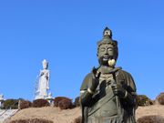 �������̌���@�̓��e�ʐ^2