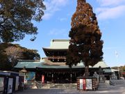 �������̉��Δ����{�̓��e�ʐ^2