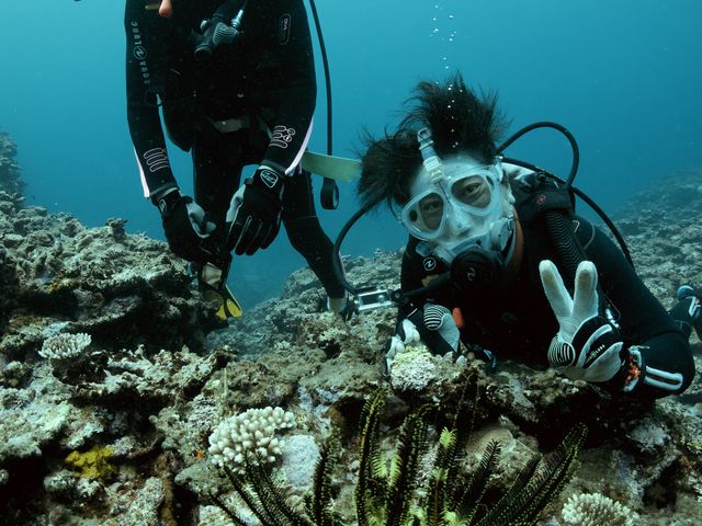 �t���t�F�C�X�ŊC�̒��ł����K_�ɗǕ����}�����Z���^�[