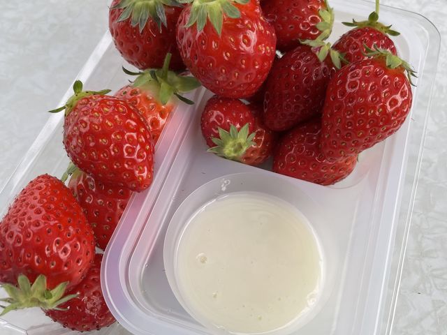 ���ɂイ_��{�ό��������g��