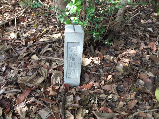 ̂͂߂Ă݂܂BE߂Ă悤łB_R