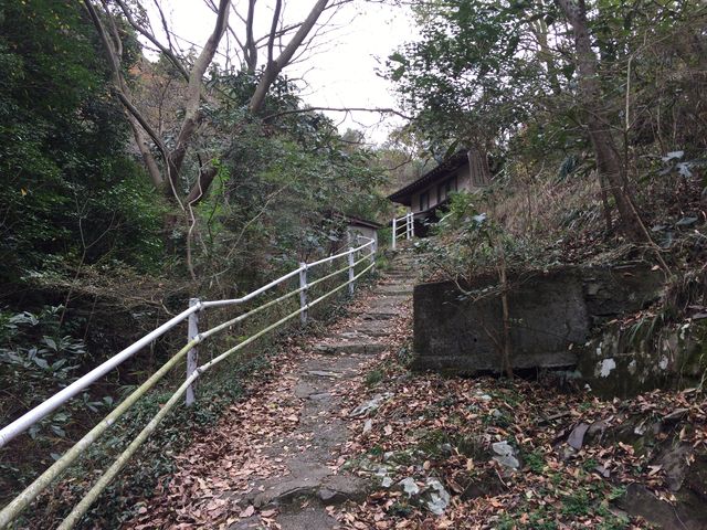 UBs܂ł̓̂B}ołBNK⎞ɎBeB_R