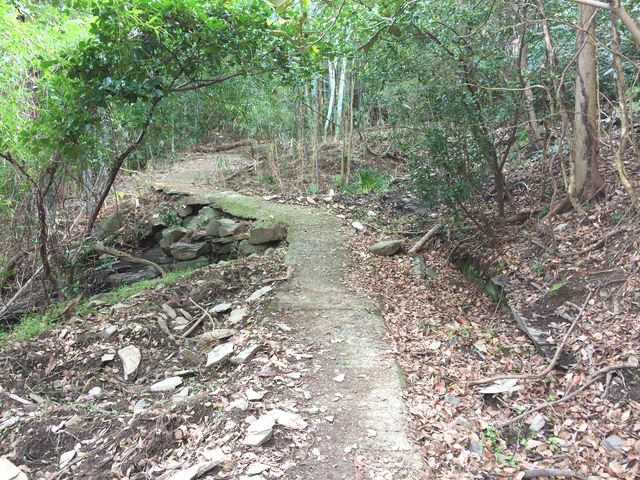 ���R�U���H�Q�l_��R����