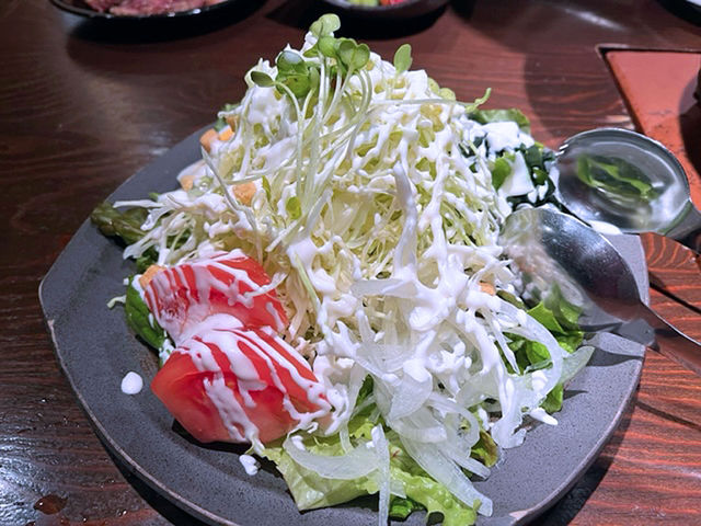 ƂT__ē Ƃ炵 qVnX