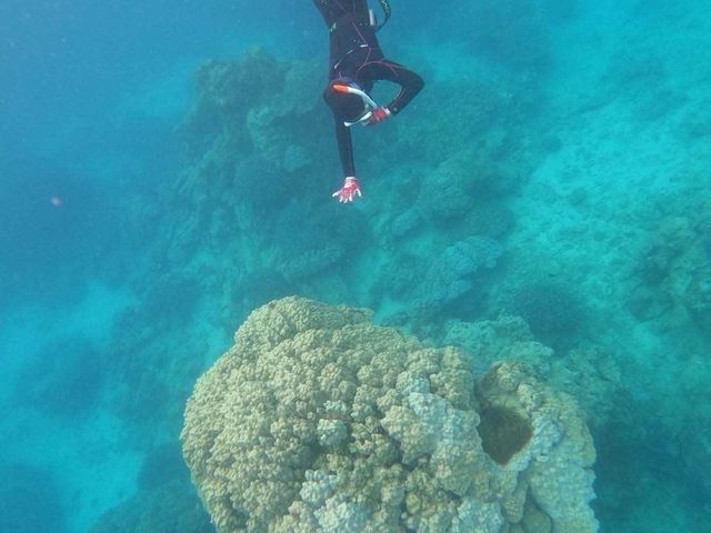 ��������R�c�𐶂����Đ���܂����I_�����哇�E�F���l�X&�A�h�x���`���[UNIMARE