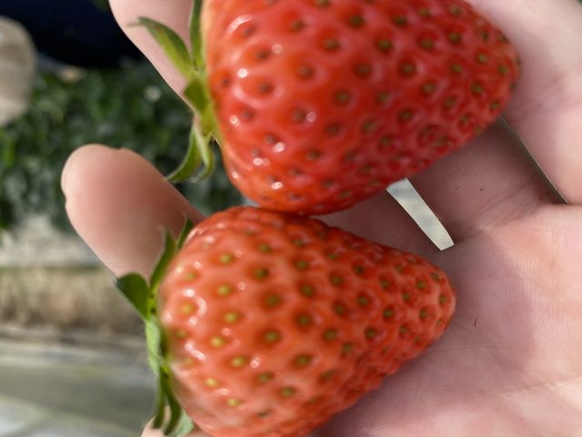 �Ós��_��c�_��(2024�N�V�[�Y���x��)