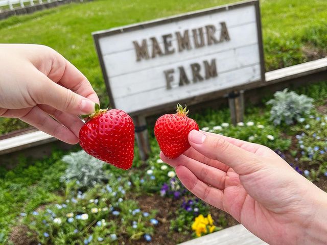 �f���X�|�b�g_�}�G�����t�@�[��