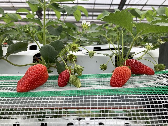 �Á[���B_�����o�v�_��