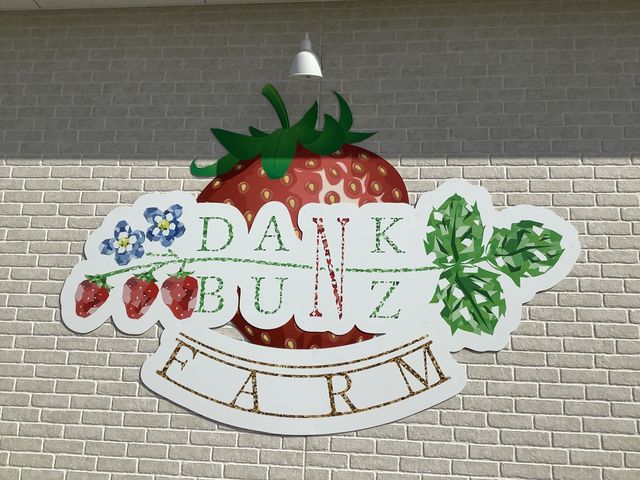 �����Ŕ�
�g�C�����Y��ł����@�厖�����_�_���N�o���Y�t�@�[��