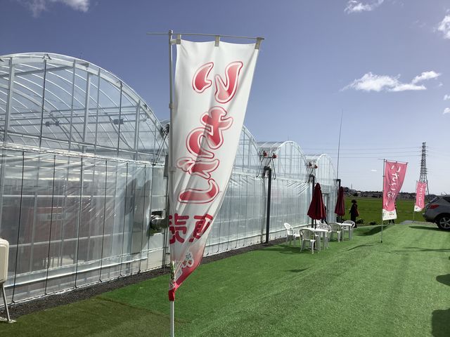 �����V�C�ŋC��������_�_���N�o���Y�t�@�[��