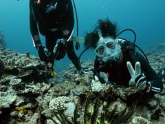 Ȃ̈ɗǕ}Z^[ւ̓eʐ^1