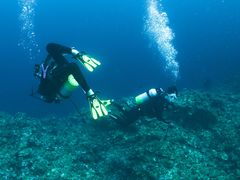 Ȃ̈ɗǕ}Z^[ւ̓eʐ^2